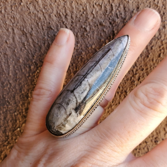New Huge Orthoceras Fossil 925 Silver Statement Ring. - Picture 7 of 9